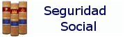 SEGUIRIDAD SOCIAL